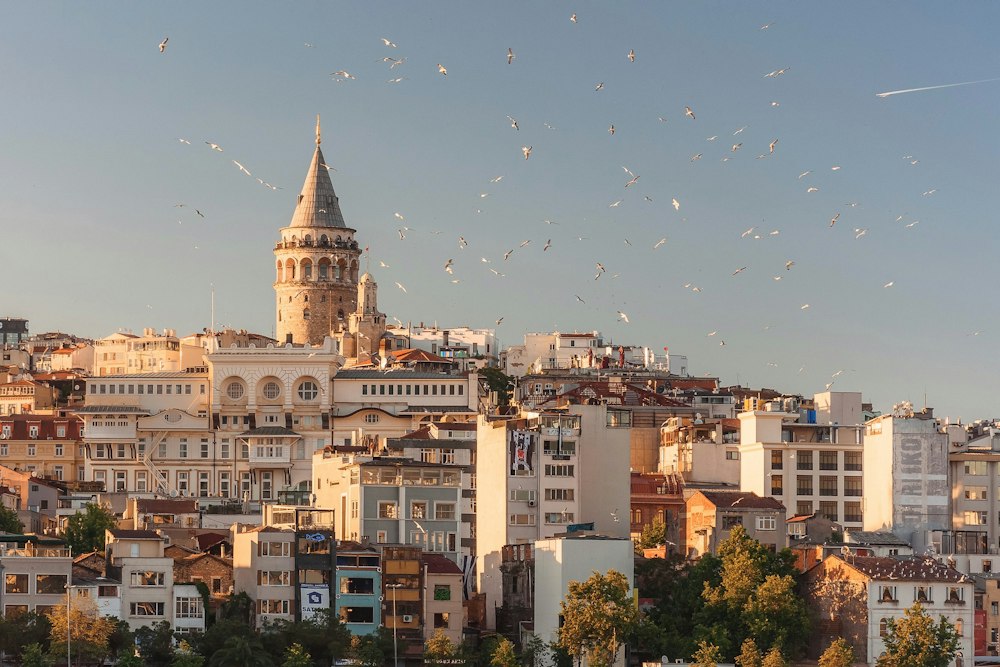 Minarets et coucher de soleil sur le Bosphore à Istanbul